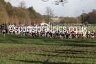 Boys under-13 Northern Cross Country Champs., Witton Park, Blackburn. Photo: David T. Hewitson/Sports for All Pics